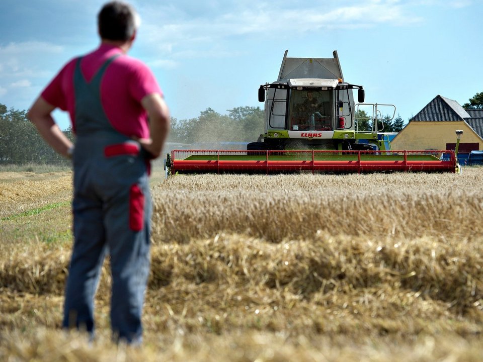 Οι 16 καλύτερες χώρες στην Ευρώπη για όσους ψάχνουν δουλειά [εικόνες] | iefimerida.gr 5