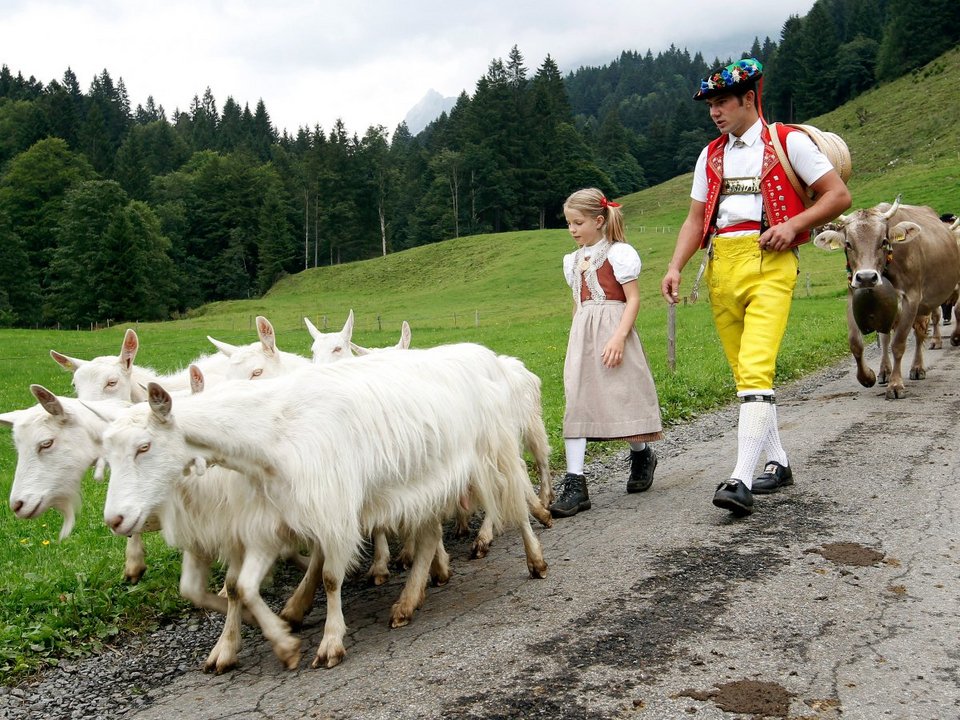 Οι 16 καλύτερες χώρες στην Ευρώπη για όσους ψάχνουν δουλειά [εικόνες] | iefimerida.gr 7