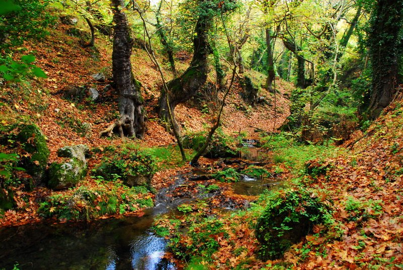 H «Ελβετία» της Ελλάδας: Οδοιπορικό στην Ορεινή Φωκίδα [εικόνες]  | iefimerida.gr 7