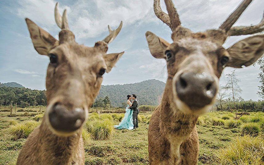 Οι πιο αστείες φωτογραφίες γάμου -Για γέλια και για κλάματα [εικόνες] | iefimerida.gr 2