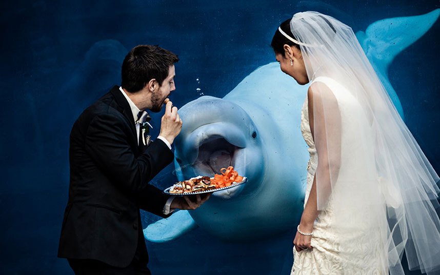 Οι πιο αστείες φωτογραφίες γάμου -Για γέλια και για κλάματα [εικόνες] | iefimerida.gr 4