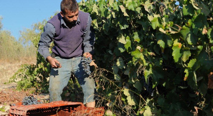 Η Telegraph μας λέει πού να πάμε για φαγητό στην Ελλάδα -Οι 10 τοπ γαστρονομικοί προορισμοί [εικόνες] | iefimerida.gr 6