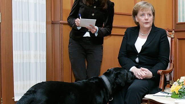 Οταν ο Πούτιν προσπάθησε να τρομάξει τη Μέρκελ με ένα λαμπραντόρ -Μια απίστευτη συμπεριφορά [εικόνες] | iefimerida.gr 2