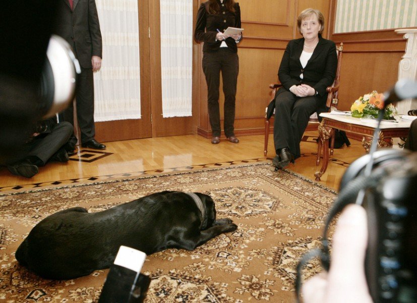 Οταν ο Πούτιν προσπάθησε να τρομάξει τη Μέρκελ με ένα λαμπραντόρ -Μια απίστευτη συμπεριφορά [εικόνες] | iefimerida.gr 7