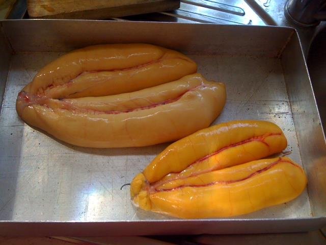 «Λάτρεψα το Μεσολόγγι» -Ενας Αθηναίος μας ξεναγεί στην επαρχία [εικόνες] | iefimerida.gr 11