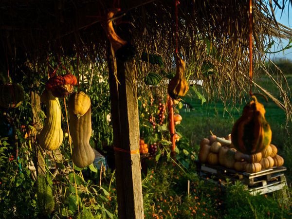 National Geographic: Η ζωή στην Ελλάδα μέσα από 10 φωτογραφίες -Τοπία, ήθη και έθιμα [εικόνες] | iefimerida.gr 3