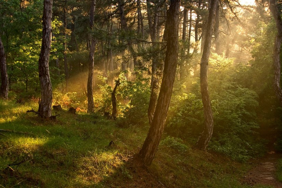 Αυτό το χωριό του Εβρου έγινε «σπίτι» πελαργών -Μοναδικό θέαμα [εικόνες] | iefimerida.gr 2