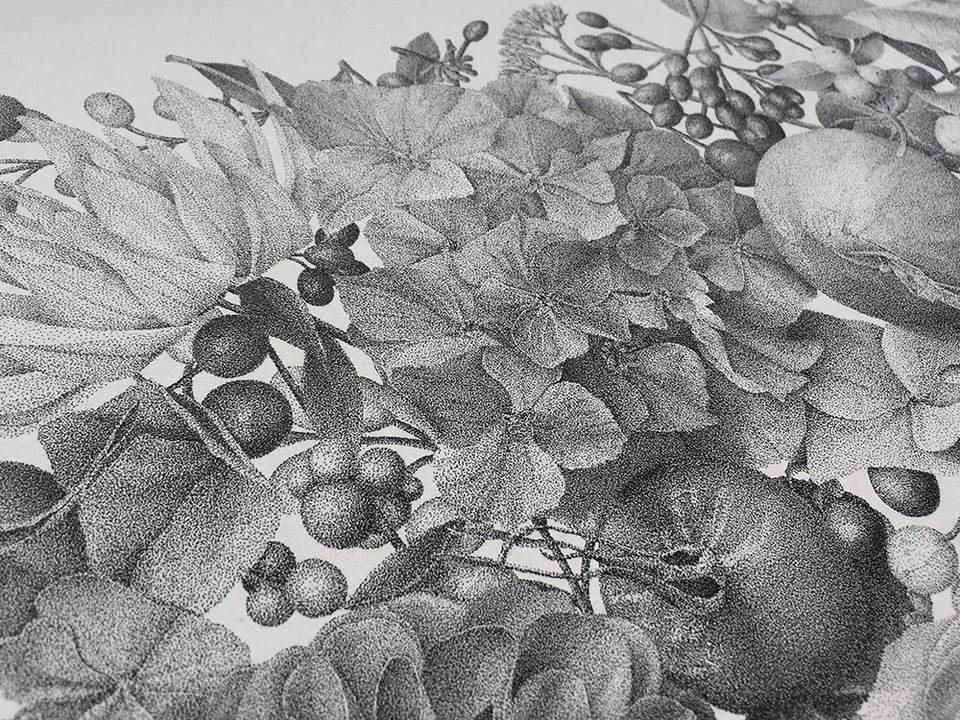 Ζωγραφική με βούλες: Ενα έργο τέχνης με 7 εκατομμύρια τελείες [εικόνες]  | iefimerida.gr 6