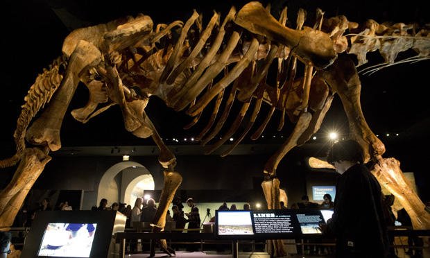 Ενας τιτανόσαυρος στο Μουσείο της Νέας Υόρκης -Ο μεγαλύτερος στον κόσμο, προκαλεί τρόμο [εικόνες] | iefimerida.gr 0