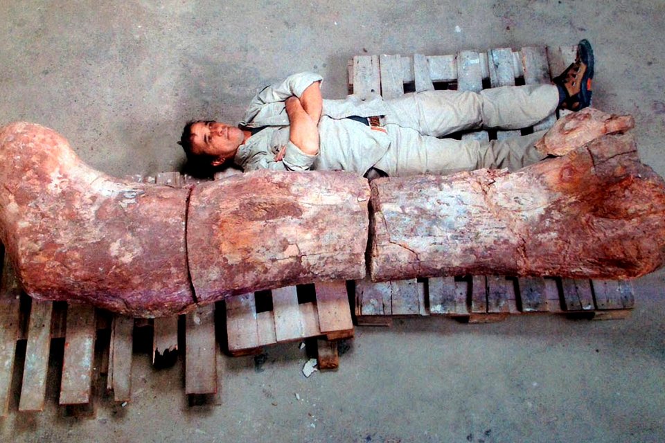 Ενας τιτανόσαυρος στο Μουσείο της Νέας Υόρκης -Ο μεγαλύτερος στον κόσμο, προκαλεί τρόμο [εικόνες] | iefimerida.gr 3