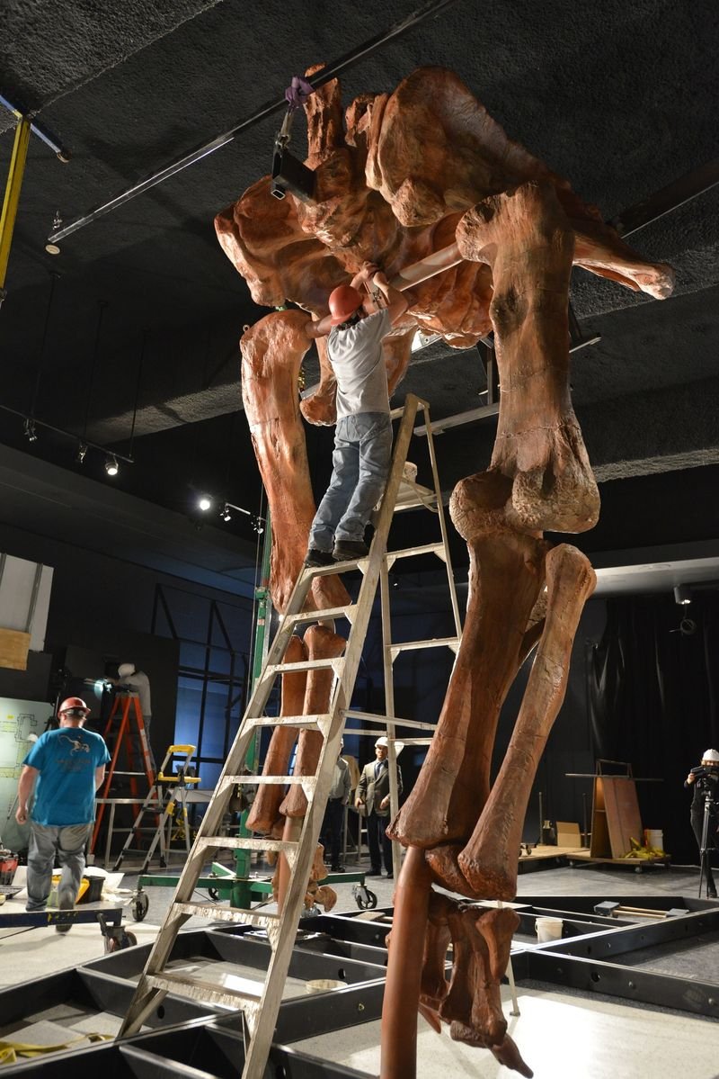 Ενας τιτανόσαυρος στο Μουσείο της Νέας Υόρκης -Ο μεγαλύτερος στον κόσμο, προκαλεί τρόμο [εικόνες] | iefimerida.gr 2