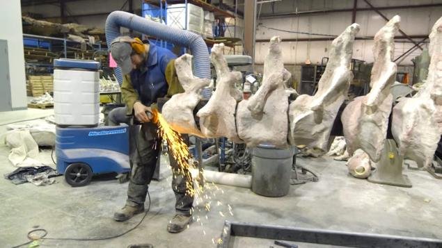 Ενας τιτανόσαυρος στο Μουσείο της Νέας Υόρκης -Ο μεγαλύτερος στον κόσμο, προκαλεί τρόμο [εικόνες] | iefimerida.gr 4