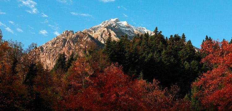 H «Ελβετία» της Ελλάδας: Οδοιπορικό στην Ορεινή Φωκίδα [εικόνες]  | iefimerida.gr 3