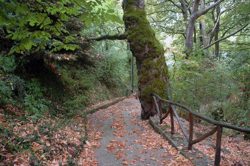 H «Ελβετία» της Ελλάδας: Οδοιπορικό στην Ορεινή Φωκίδα [εικόνες]  | iefimerida.gr 4