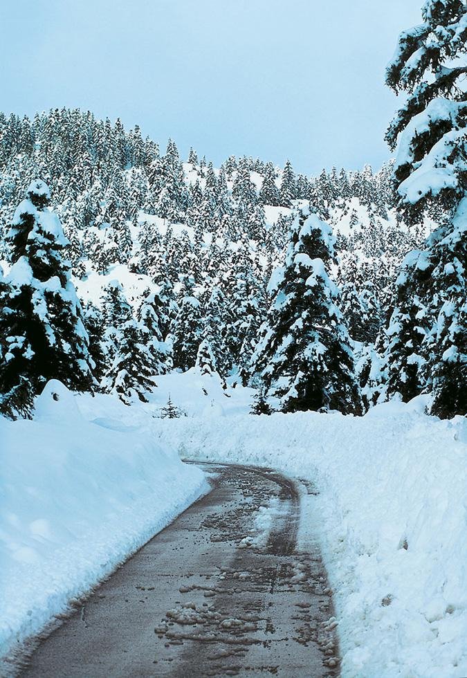 H «Ελβετία» της Ελλάδας: Οδοιπορικό στην Ορεινή Φωκίδα [εικόνες]  | iefimerida.gr 5