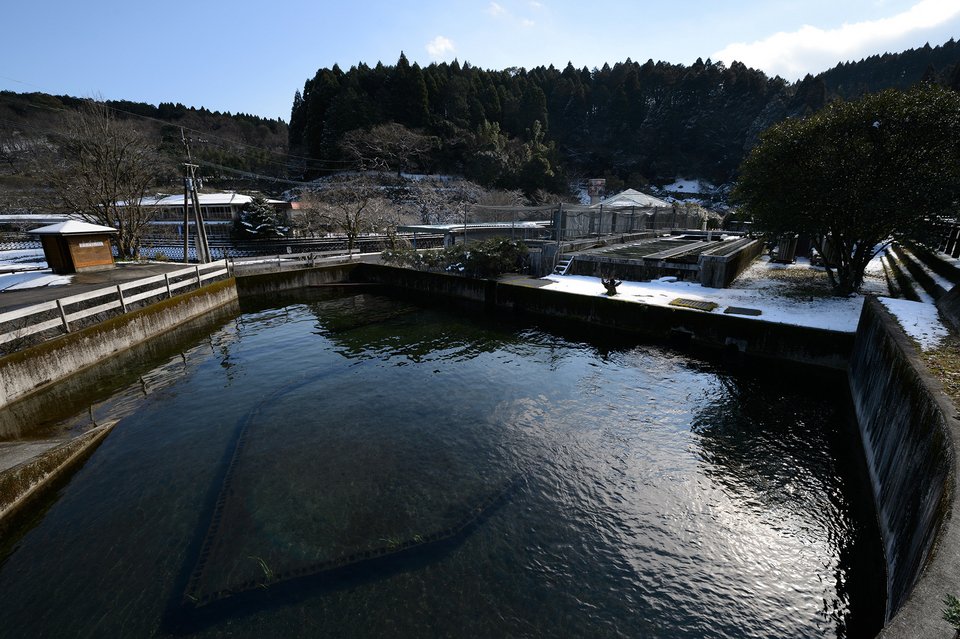 Το γιαπωνέζικο χαβιάρι απειλεί Ρωσία και Ιράν -Οι αγορές τρέμουν [εικόνες] | iefimerida.gr 1