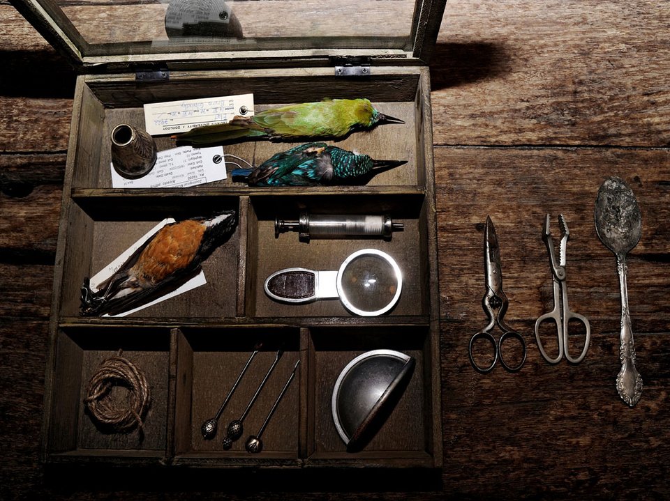 Νευρολόγος φωτογραφίζει ζωντανά όργανα -Οχι ανθρώπινα [εικόνες] | iefimerida.gr 1