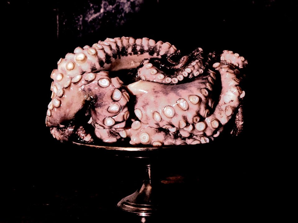 Νευρολόγος φωτογραφίζει ζωντανά όργανα -Οχι ανθρώπινα [εικόνες] | iefimerida.gr 8