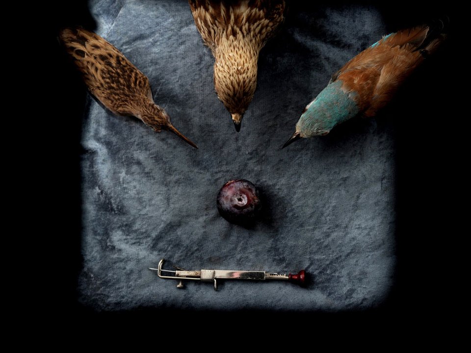 Νευρολόγος φωτογραφίζει ζωντανά όργανα -Οχι ανθρώπινα [εικόνες] | iefimerida.gr 3