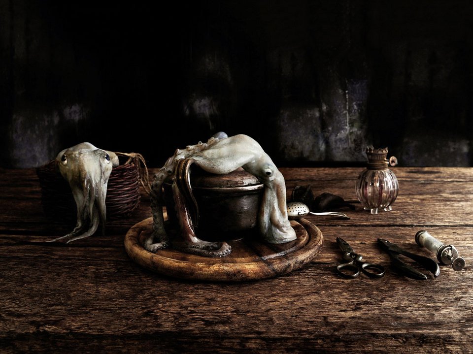 Νευρολόγος φωτογραφίζει ζωντανά όργανα -Οχι ανθρώπινα [εικόνες] | iefimerida.gr 4