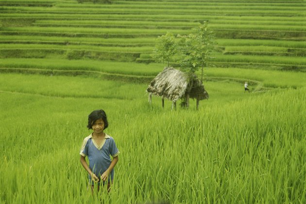 Περίεργες συνήθειες ύπνου -Οι Ιάπωνες κοιμούνται στη δουλειά και οι Βρετανοί γυμνοί [εικόνες] | iefimerida.gr 4