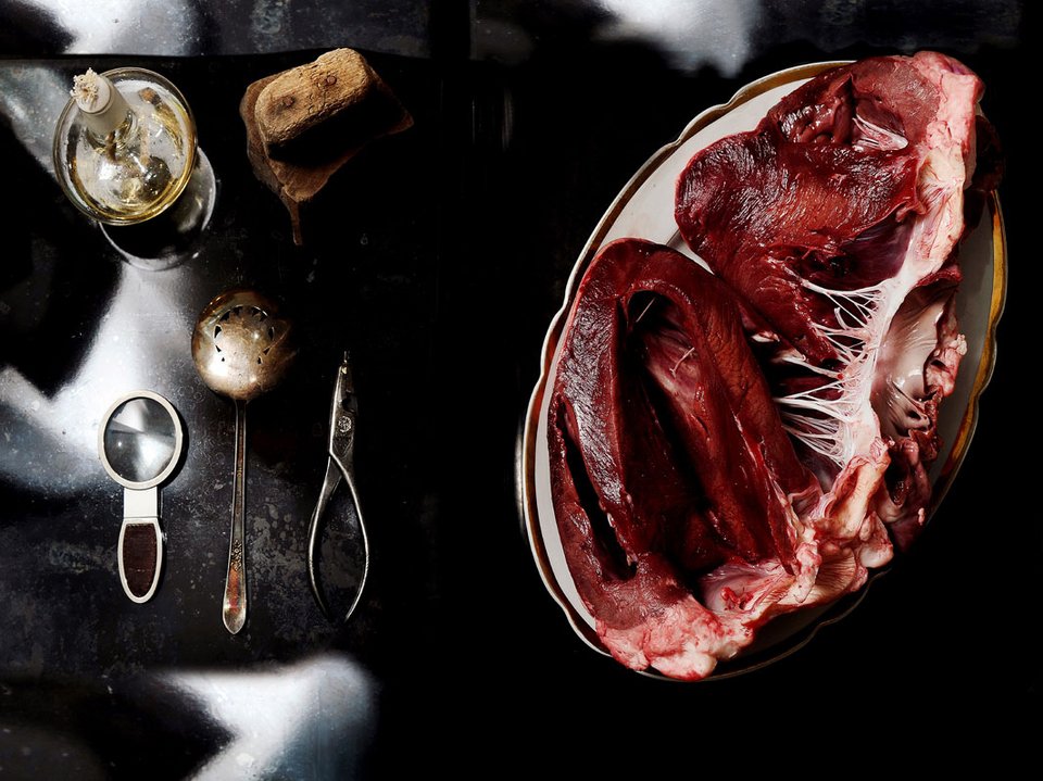 Νευρολόγος φωτογραφίζει ζωντανά όργανα -Οχι ανθρώπινα [εικόνες] | iefimerida.gr 0