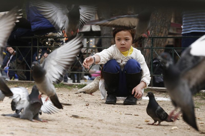 Ασυνόδευτα προφυγόπουλα -Ενας ειδικός περιγράφει το δράμα τους [εικόνες] | iefimerida.gr 2
