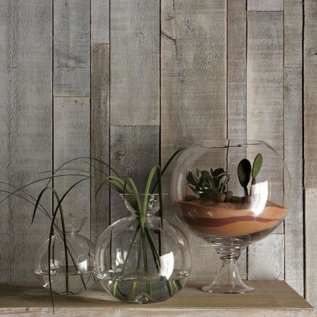 Τα φυτά στο σπίτι να είναι κάκτοι [εικόνες] | iefimerida.gr 13