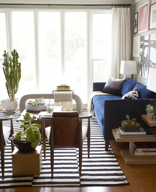 Τα φυτά στο σπίτι να είναι κάκτοι [εικόνες] | iefimerida.gr 18