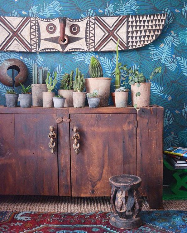 Τα φυτά στο σπίτι να είναι κάκτοι [εικόνες] | iefimerida.gr 2