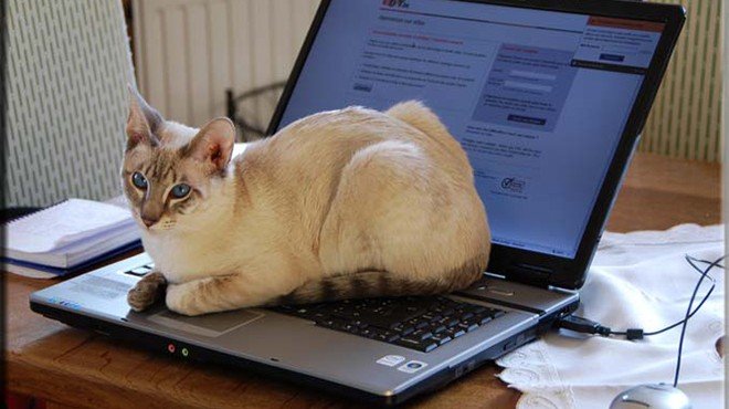 Δουλειά σε υπολογιστή -Τα 5 πράγματα που πρέπει να κάνετε για να επιβιώσετε [εικόνες] | iefimerida.gr 0