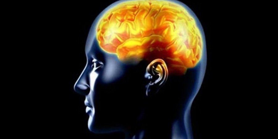 Ελληνας επιστήμονας έγινε μέλος της Ακαδημίας Εφευρετών των ΗΠΑ -Θέλει να νικήσει την επιληψία [εικόνες] | iefimerida.gr 8