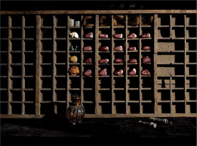 Νευρολόγος φωτογραφίζει ζωντανά όργανα -Οχι ανθρώπινα [εικόνες] | iefimerida.gr 5