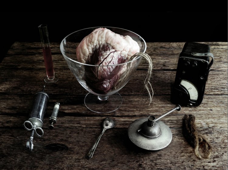 Νευρολόγος φωτογραφίζει ζωντανά όργανα -Οχι ανθρώπινα [εικόνες] | iefimerida.gr 2