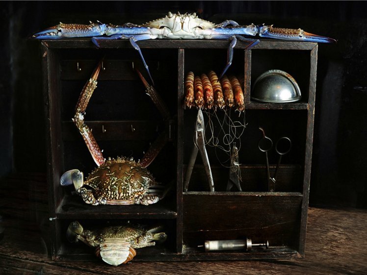 Νευρολόγος φωτογραφίζει ζωντανά όργανα -Οχι ανθρώπινα [εικόνες] | iefimerida.gr 7