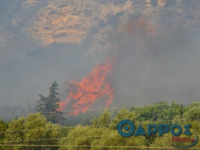 Καλαμάτα: Υπό έλεγχο η πυρκαγιά στην ορεινή Τριφυλία [εικόνα & βίντεο] | iefimerida.gr 0