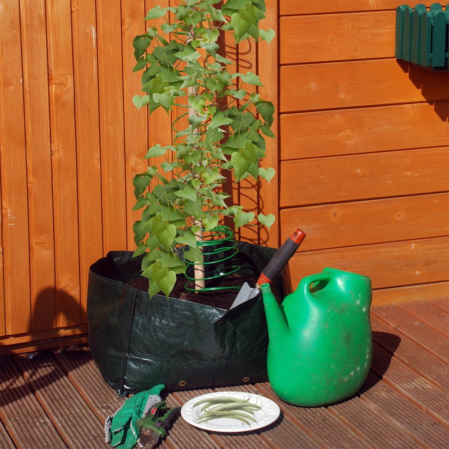 Γεμίστε λαχανικά το μπαλκόνι σας, είναι η εποχή! [εικόνες] | iefimerida.gr 5