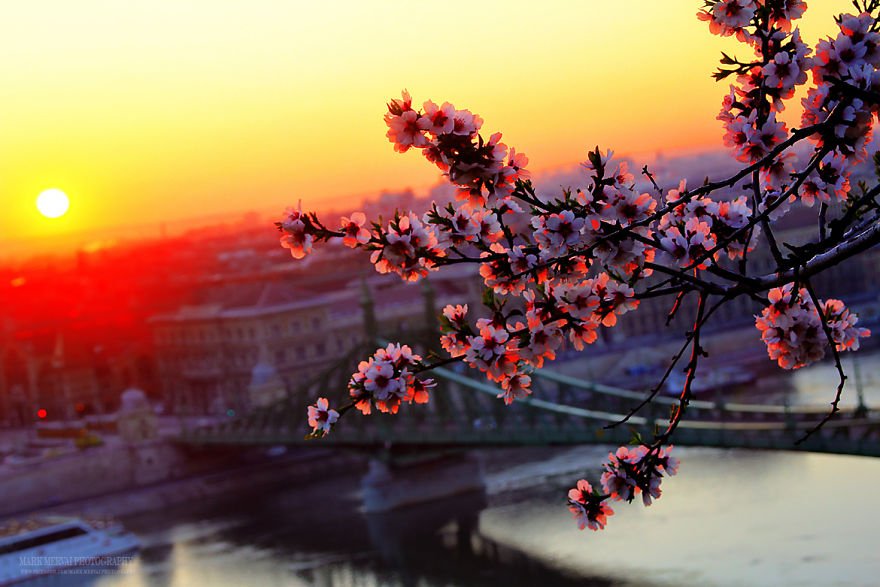 Η Βουδαπέστη όπως δεν την έχετε ξαναδεί: Μαγικές στιγμές από ηλιοβασίλεμα και ανατολή [εικόνες] | iefimerida.gr 7