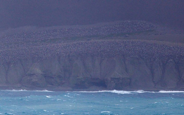 Σπάνιες εικόνες από έκρηξη ηφαιστείου στην Ανταρκτική -Εκεί που η λάβα και το χιόνι γίνονται ένα [εικόνες & βίντεο]  | iefimerida.gr 3
