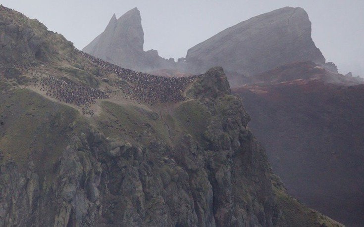 Σπάνιες εικόνες από έκρηξη ηφαιστείου στην Ανταρκτική -Εκεί που η λάβα και το χιόνι γίνονται ένα [εικόνες & βίντεο]  | iefimerida.gr 7
