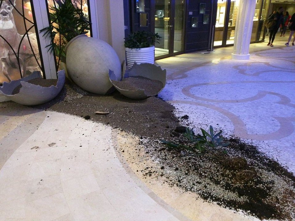 Εφιάλτης: Κύματα 9 μέτρων χτυπούν τεράστιο κρουαζιερόπλοιο -Δεν έμεινε τίποτα όρθιο εσωτερικά [εικόνες & βίντεο] | iefimerida.gr 4