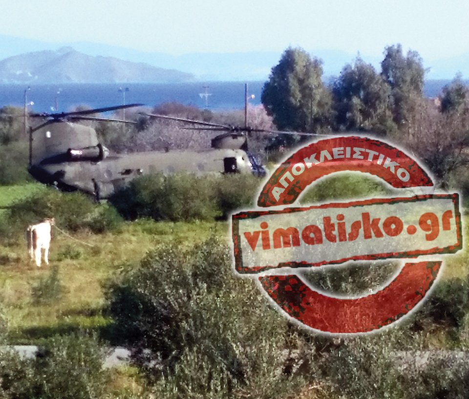 Σε βοσκοτόπια με αγελάδες προσγειώθηκε ο Πάνος Καμμένος -Επιθεώρησε το hotspot μέσα από το ελικόπτερο [εικόνες]  | iefimerida.gr 0