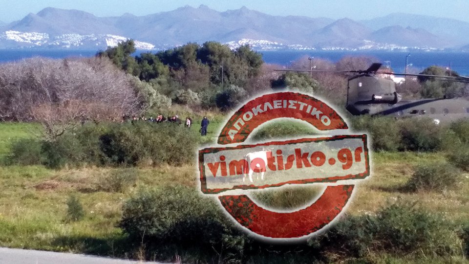 Σε βοσκοτόπια με αγελάδες προσγειώθηκε ο Πάνος Καμμένος -Επιθεώρησε το hotspot μέσα από το ελικόπτερο [εικόνες]  | iefimerida.gr 5