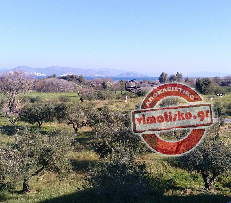 Σε βοσκοτόπια με αγελάδες προσγειώθηκε ο Πάνος Καμμένος -Επιθεώρησε το hotspot μέσα από το ελικόπτερο [εικόνες]  | iefimerida.gr 8