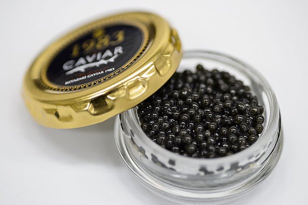Το γιαπωνέζικο χαβιάρι απειλεί Ρωσία και Ιράν -Οι αγορές τρέμουν [εικόνες] | iefimerida.gr 7