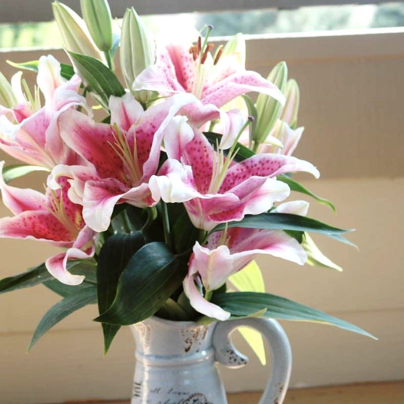 Τα λουλούδια του Αγίου Βαλεντίνου -Τι συμβολίζει το καθένα [εικόνες] | iefimerida.gr 3