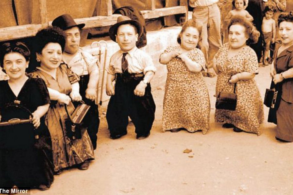 Οι επτά νάνοι του Αουσβιτς -Η απίστευτη ιστορία που έγινε βιβλίο στα ελληνικά [εικόνες] | iefimerida.gr 0