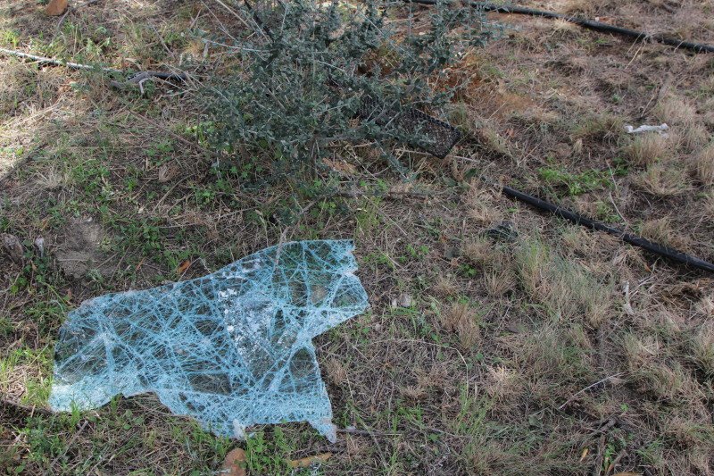 Δάκρυα και λουλούδια στο σημείο που σκοτώθηκε ο Παντελής Παντελίδης [εικόνες] | iefimerida.gr 6