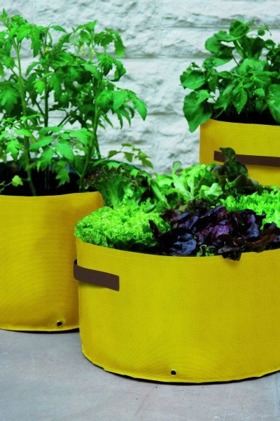 Γεμίστε λαχανικά το μπαλκόνι σας, είναι η εποχή! [εικόνες] | iefimerida.gr 2