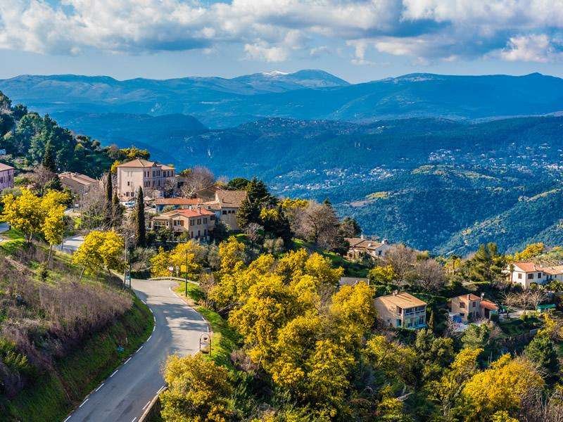 Εξυπνος τουρισμός: Οι Γάλλοι εφηύραν τον δρόμο της μιμόζας, στην Κυανή Ακτή [εικόνες] | iefimerida.gr 9